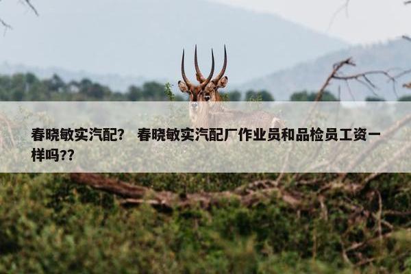 春晓敏实汽配？ 春晓敏实汽配厂作业员和品检员工资一样吗?？