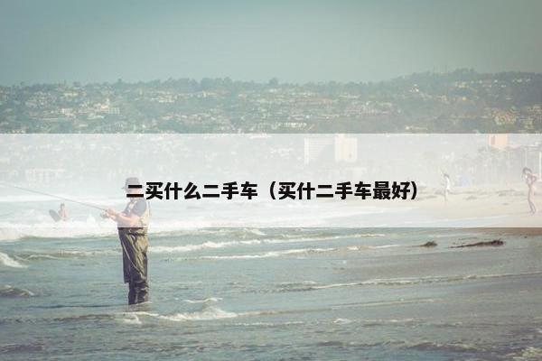 二买什么二手车（买什二手车最好）
