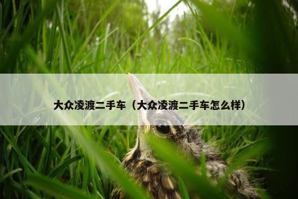 大众凌渡二手车（大众凌渡二手车怎么样）