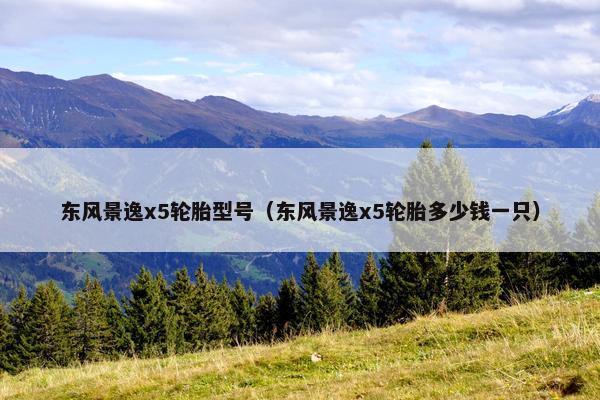 东风景逸x5轮胎型号（东风景逸x5轮胎多少钱一只）