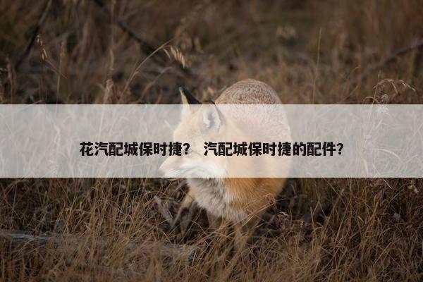 花汽配城保时捷？ 汽配城保时捷的配件？