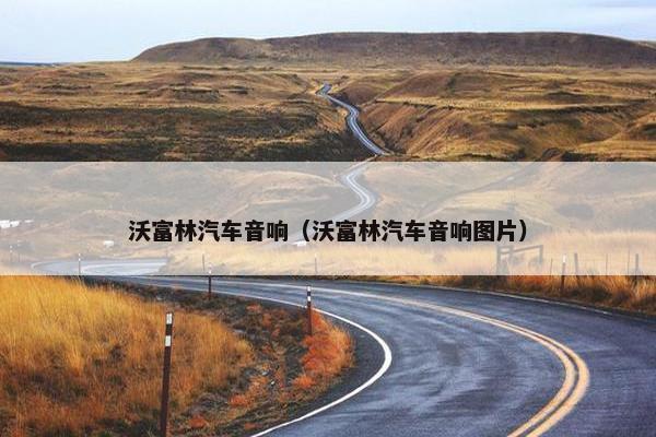 沃富林汽车音响（沃富林汽车音响图片）