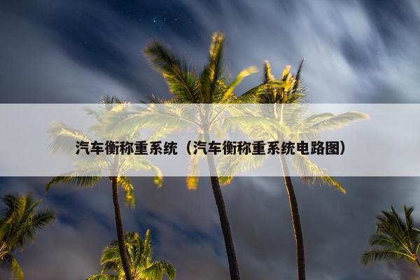 汽车衡称重系统（汽车衡称重系统电路图）