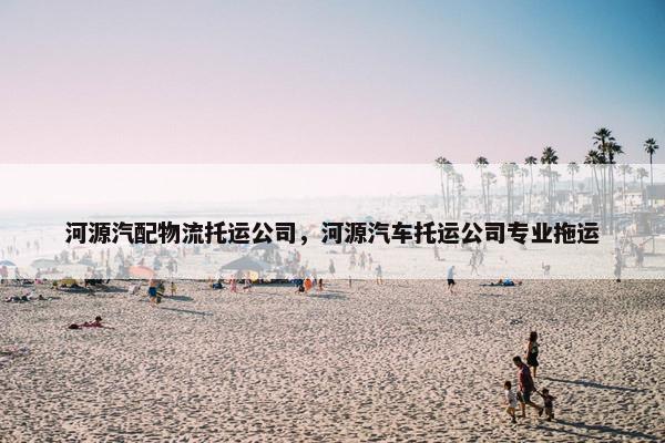 河源汽配物流托运公司，河源汽车托运公司专业拖运