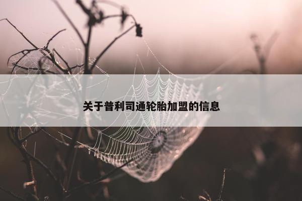 关于普利司通轮胎加盟的信息