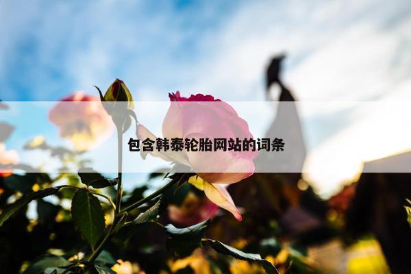 包含韩泰轮胎网站的词条
