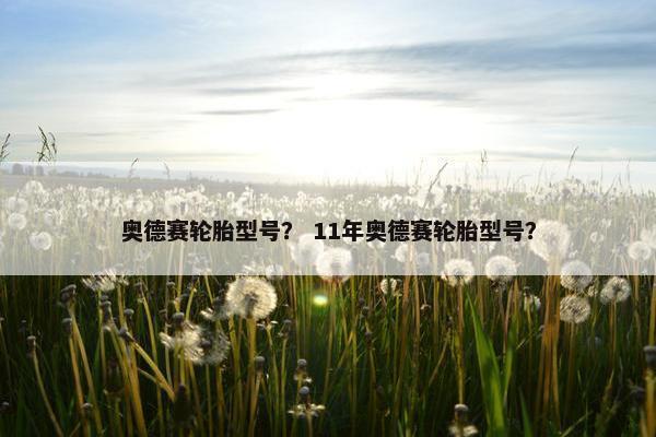 奥德赛轮胎型号？ 11年奥德赛轮胎型号？