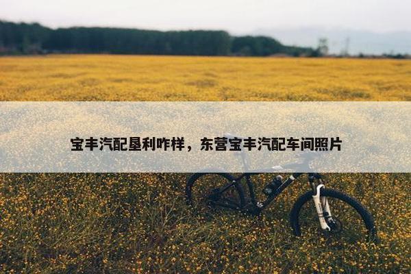 宝丰汽配垦利咋样，东营宝丰汽配车间照片