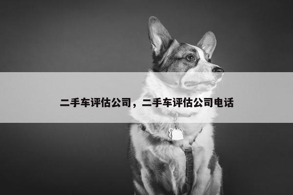二手车评估公司，二手车评估公司电话
