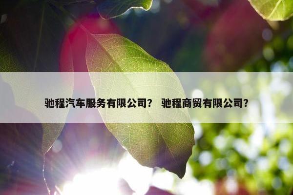 驰程汽车服务有限公司？ 驰程商贸有限公司？