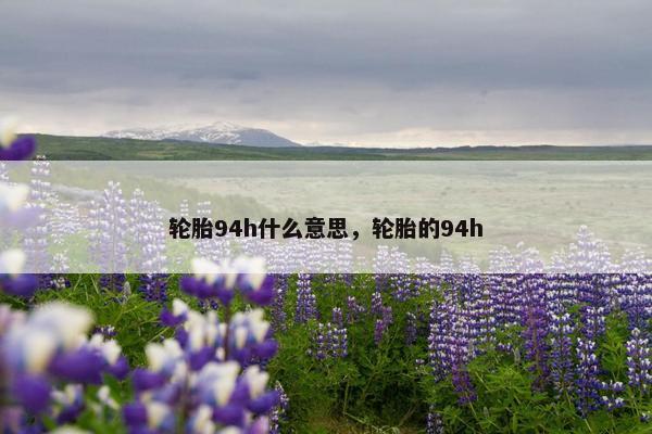 轮胎94h什么意思，轮胎的94h