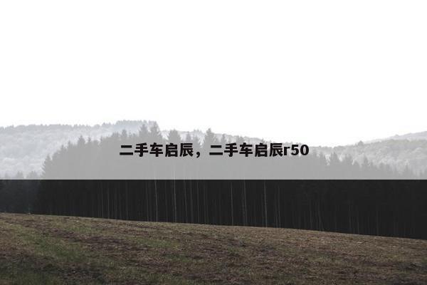 二手车启辰，二手车启辰r50