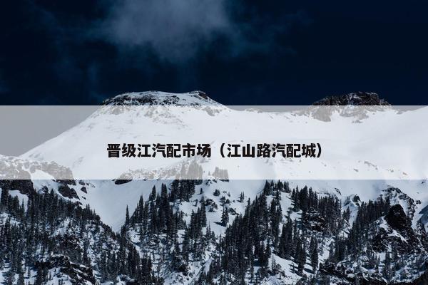 晋级江汽配市场（江山路汽配城）