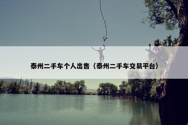 泰州二手车个人出售（泰州二手车交易平台）