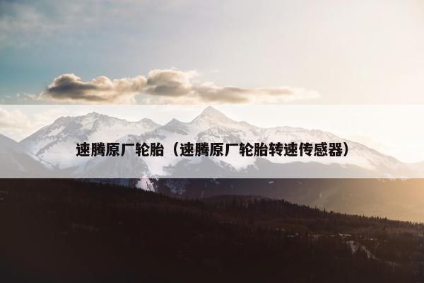 速腾原厂轮胎（速腾原厂轮胎转速传感器）