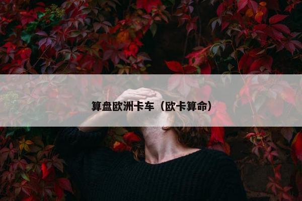 算盘欧洲卡车（欧卡算命）