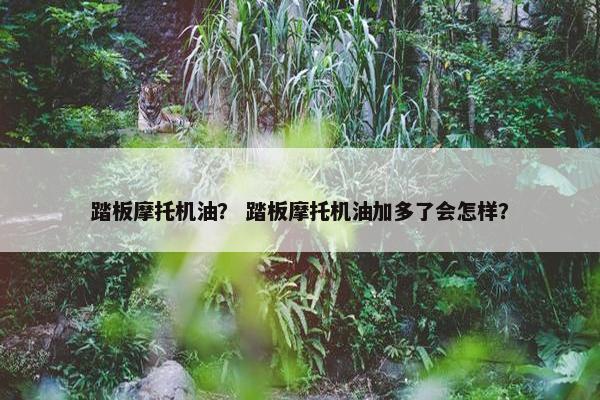 踏板摩托机油？ 踏板摩托机油加多了会怎样？