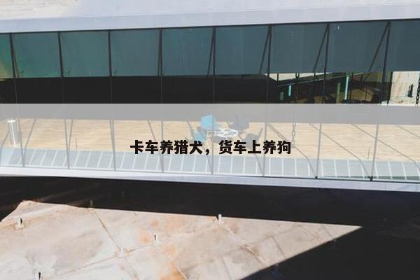 卡车养猎犬，货车上养狗