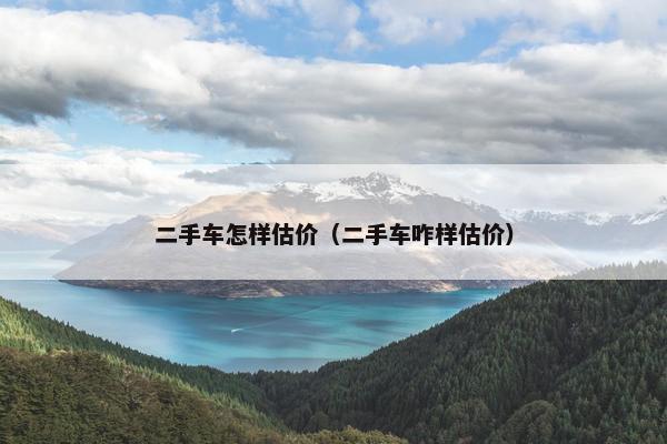 二手车怎样估价（二手车咋样估价）