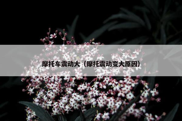 摩托车震动大（摩托震动变大原因）