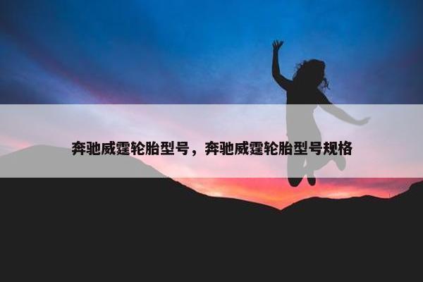 奔驰威霆轮胎型号，奔驰威霆轮胎型号规格