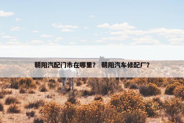 朝阳汽配门市在哪里？ 朝阳汽车修配厂？