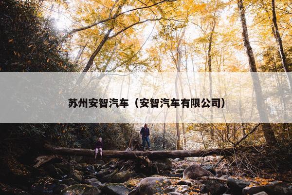 苏州安智汽车（安智汽车有限公司）