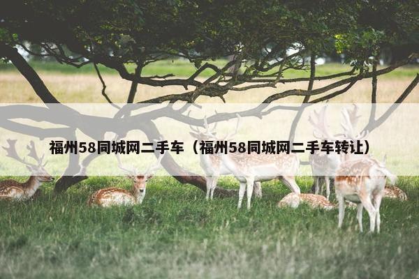 福州58同城网二手车（福州58同城网二手车转让）