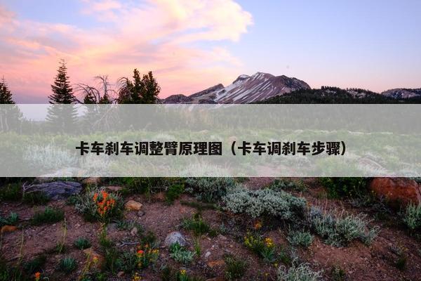 卡车刹车调整臂原理图（卡车调刹车步骤）