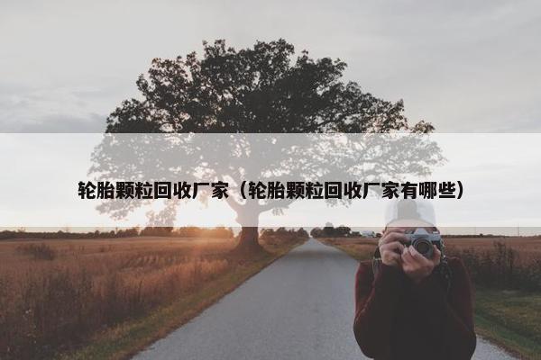 轮胎颗粒回收厂家（轮胎颗粒回收厂家有哪些）