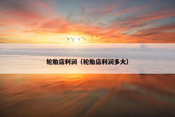 轮胎店利润（轮胎店利润多大）