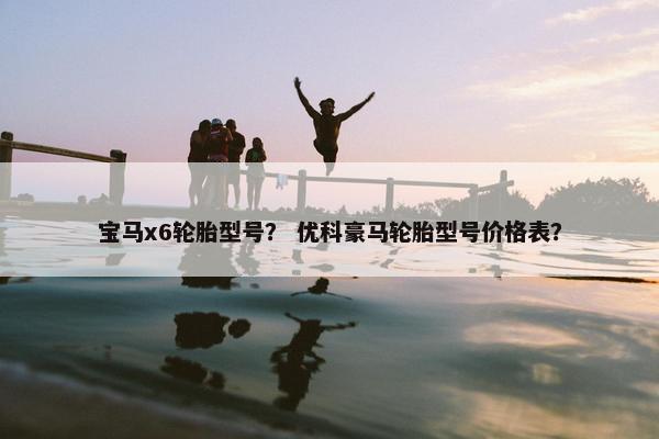 宝马x6轮胎型号？ 优科豪马轮胎型号价格表？