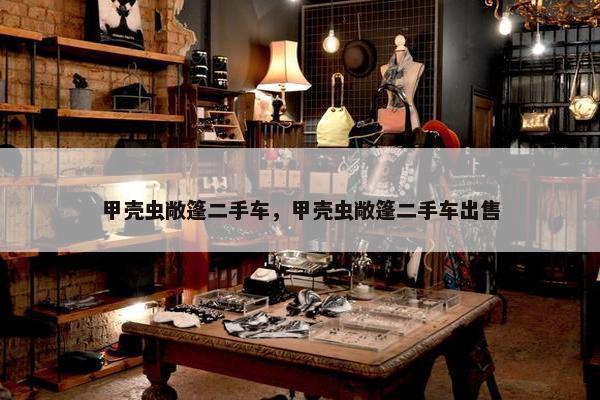 甲壳虫敞篷二手车，甲壳虫敞篷二手车出售
