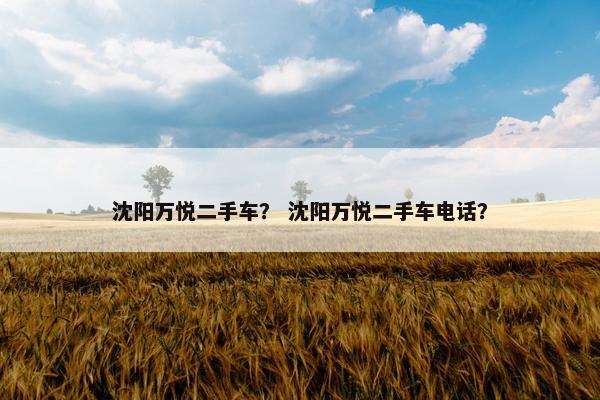 沈阳万悦二手车？ 沈阳万悦二手车电话？