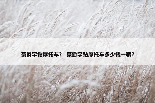 豪爵宇钻摩托车？ 豪爵宇钻摩托车多少钱一辆？