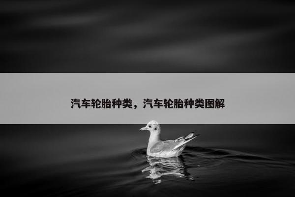 汽车轮胎种类，汽车轮胎种类图解