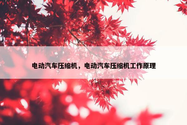 电动汽车压缩机，电动汽车压缩机工作原理