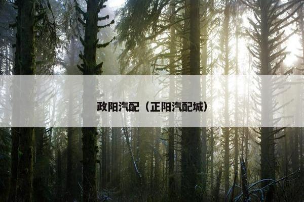 政阳汽配（正阳汽配城）