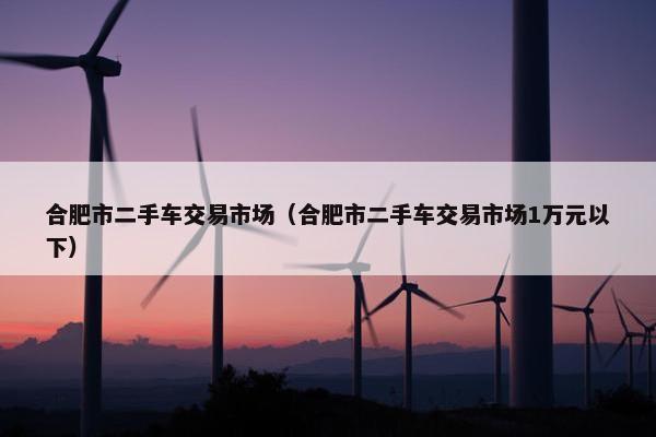合肥市二手车交易市场（合肥市二手车交易市场1万元以下）