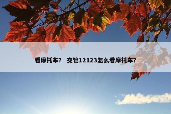 看摩托车？ 交管12123怎么看摩托车？