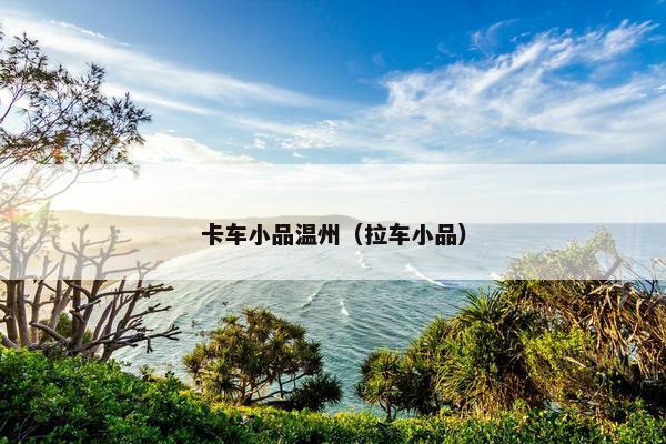 卡车小品温州（拉车小品）
