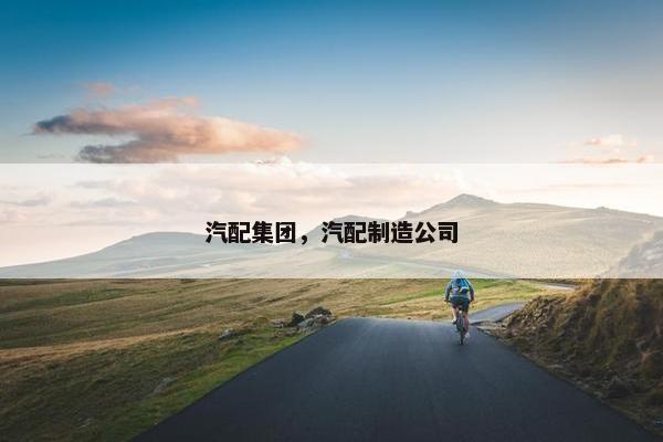 汽配集团，汽配制造公司