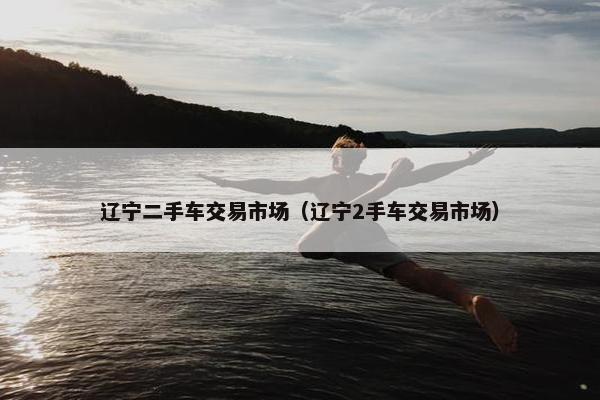 辽宁二手车交易市场（辽宁2手车交易市场）