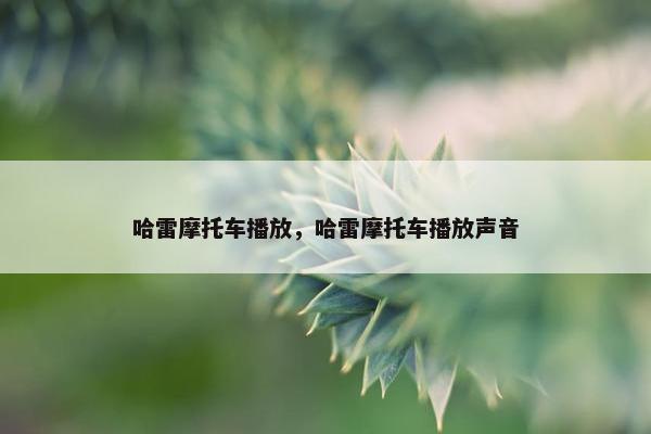 哈雷摩托车播放，哈雷摩托车播放声音