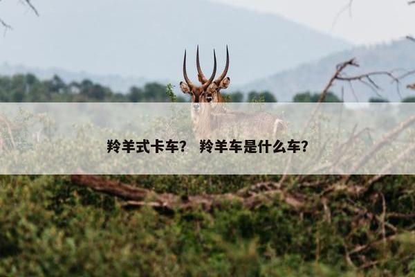 羚羊式卡车？ 羚羊车是什么车？