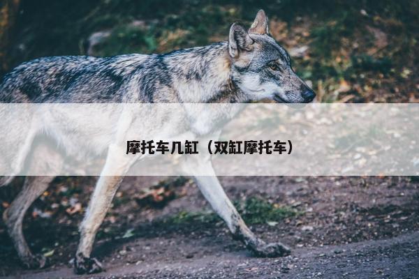摩托车几缸（双缸摩托车）