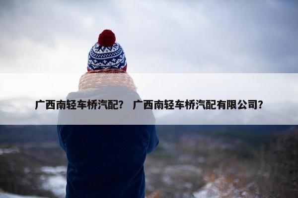 广西南轻车桥汽配？ 广西南轻车桥汽配有限公司？