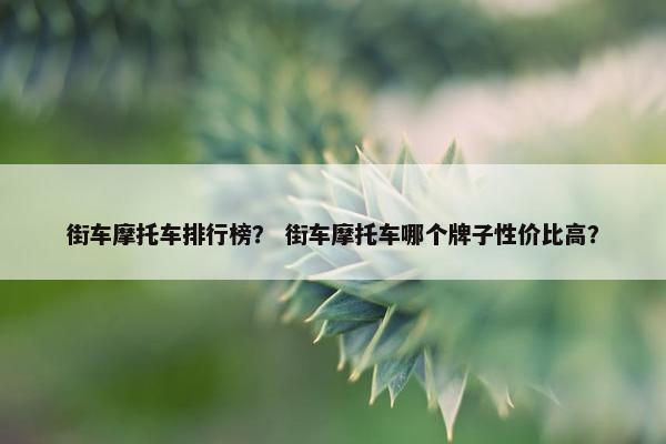 街车摩托车排行榜？ 街车摩托车哪个牌子性价比高？