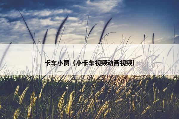 卡车小贾（小卡车视频动画视频）