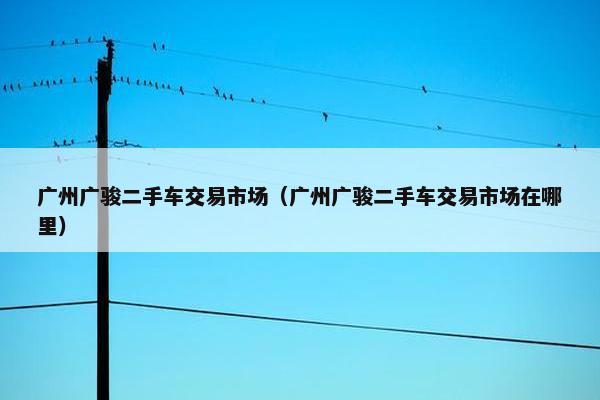 广州广骏二手车交易市场（广州广骏二手车交易市场在哪里）